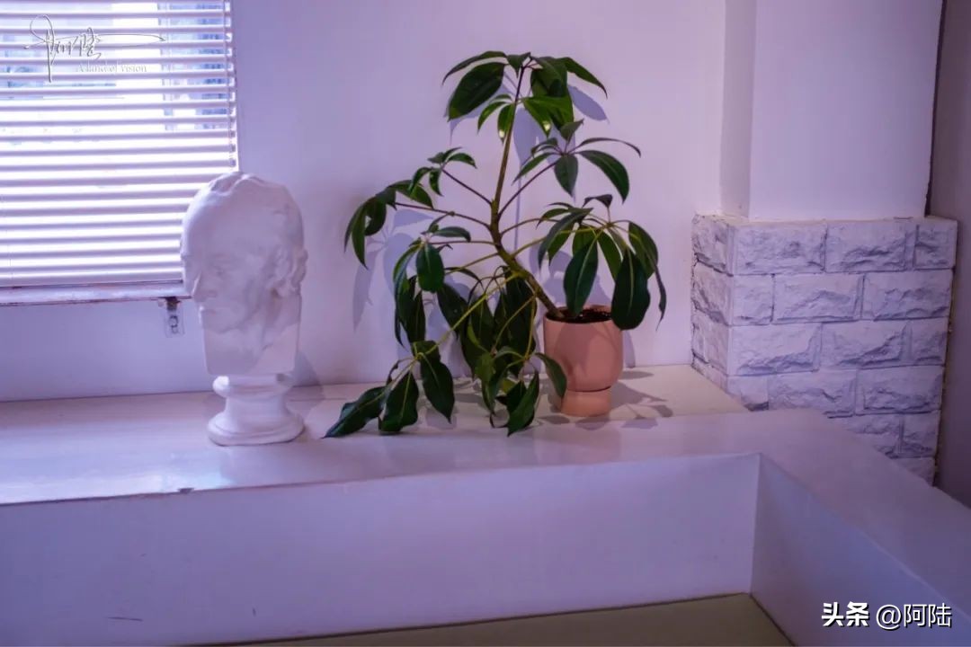 在宁海湾遇见最孤独的咖啡馆，它的面积不大，却“ins风”十足