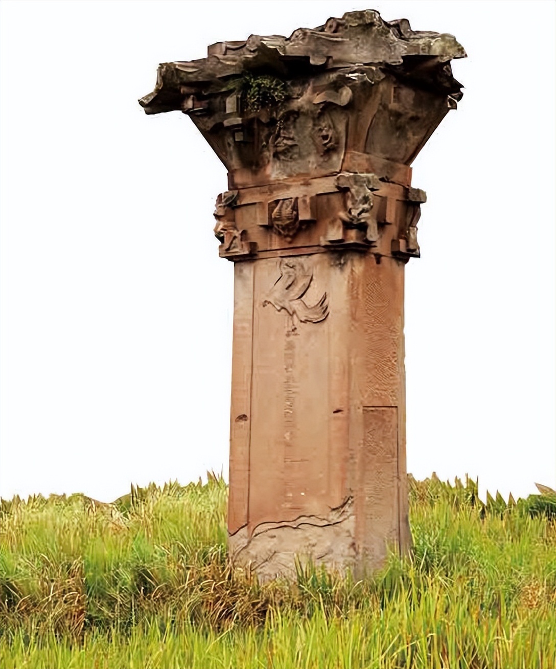 总有一种美会惊艳到时光,有一种玫瑰永不凋零