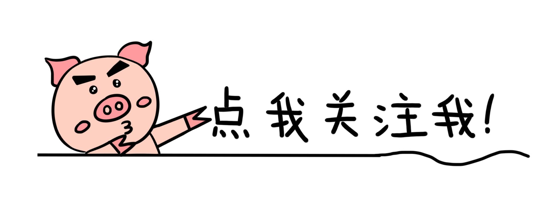 这些日常家居好物设计太人性化了,4个“新奇实用”的家居小物