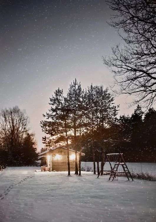 穆斯林的葬礼这本书为什么能获奖,穆斯林的葬礼这书讲了什么