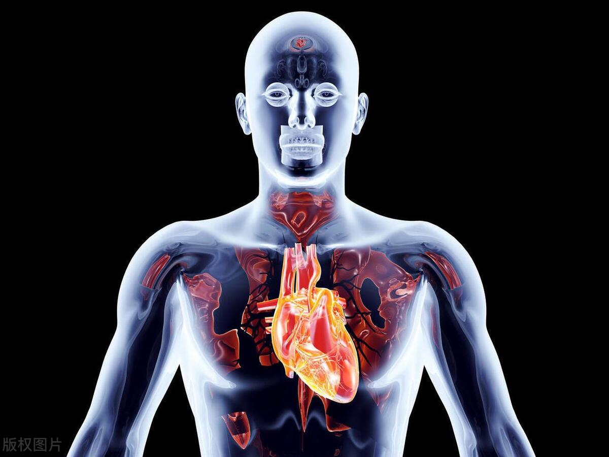 心血管疾病比较适合哪些运动,心血管疾病患者适合什么样的运动