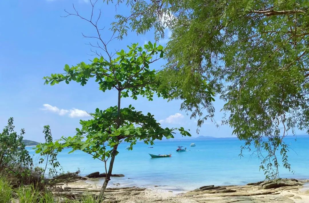 收到“噶腰子”新闻的时候，我正和老婆在泰国