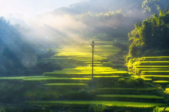 远去的猎人3,远去的猎人1