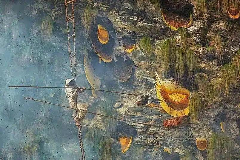 尼泊尔高山集市,尼泊尔被称为高山之国