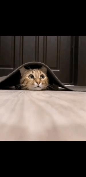 每日一笑腿短不是你的错,每日一笑短腿