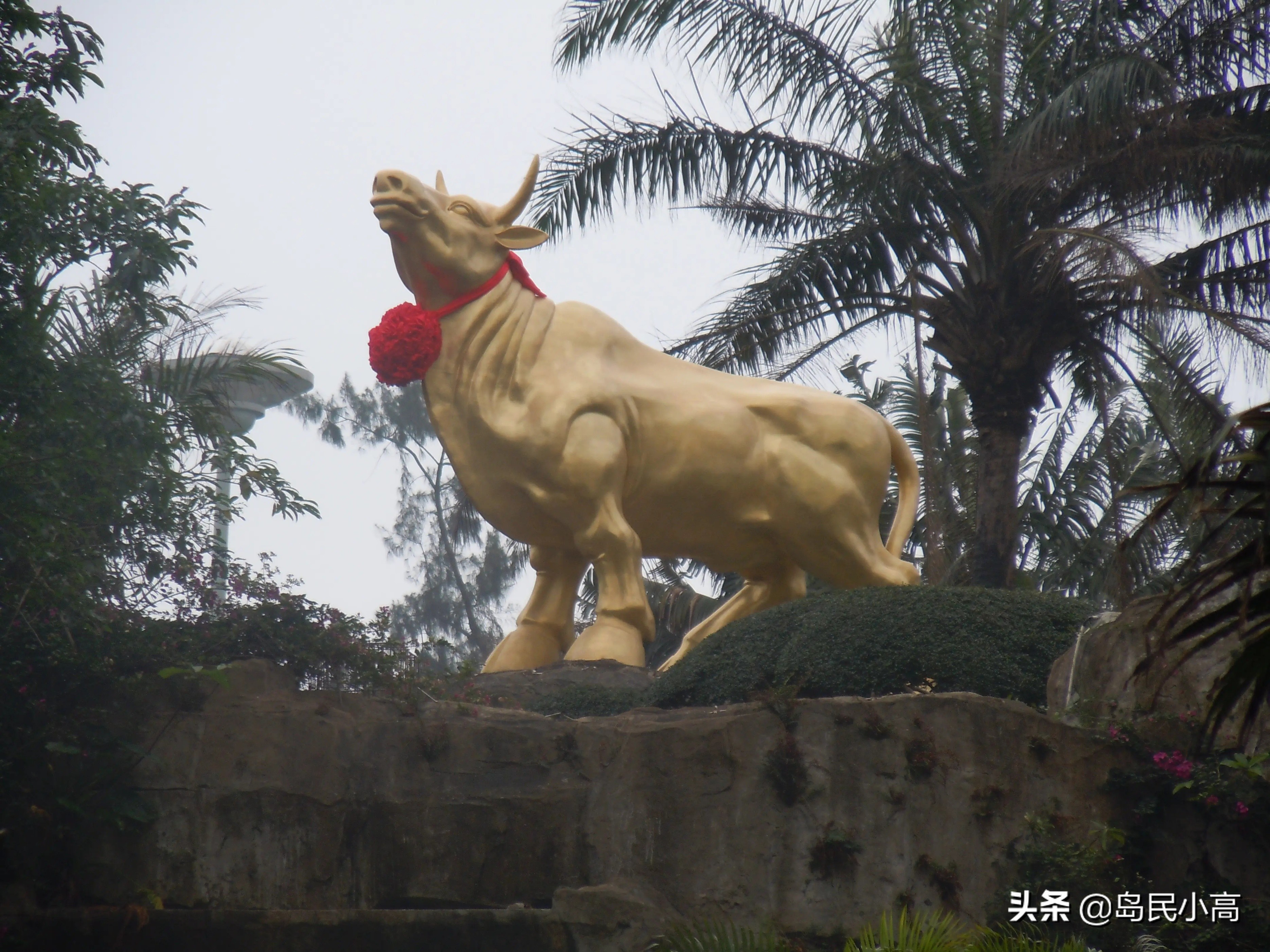 海口一共有多少个公园,海口有森林公园吗