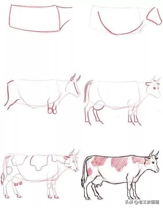 100种绘画基础入门,100幅零基础绘画教程