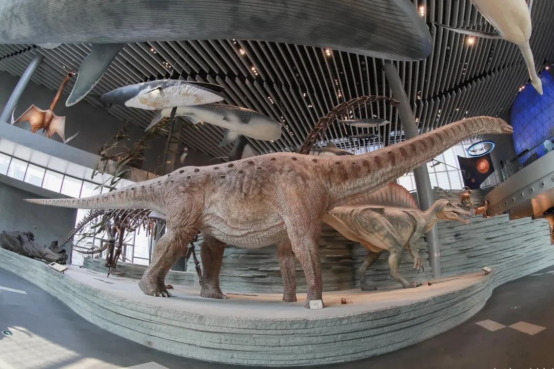 你们还知道哪些免费的宝藏景点,魔都小众宝藏打卡地