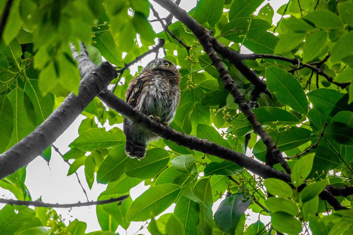 佳能行摄中国,佳能n100行摄之旅