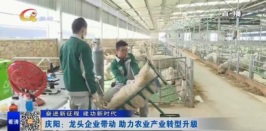 你好昨天正式播出时间,你好2023新闻报道