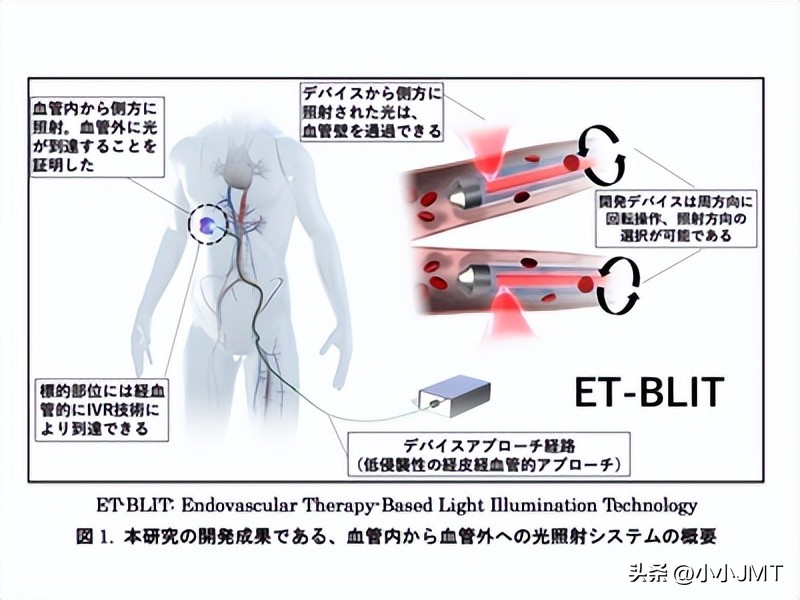 日本的免疫细胞疗法基因疗法,日本生物免疫疗法研究成果