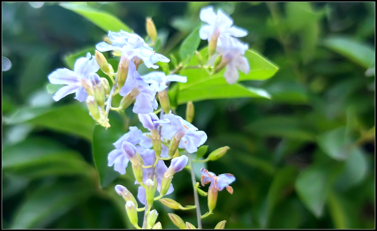 古人劝学诗句大全,古人的劝学诗有哪些