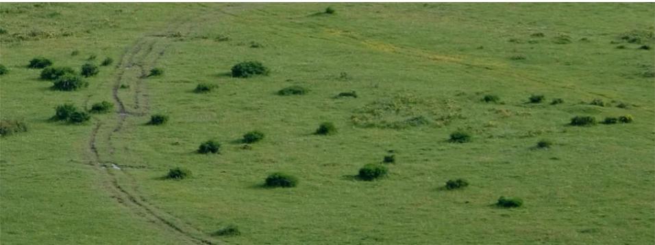 阿坝州最好的一个县是哪儿,阿坝州十三县排名