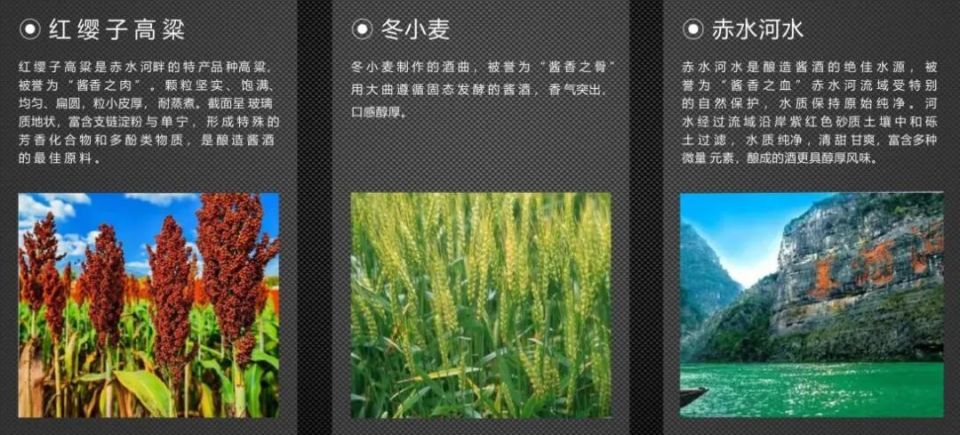 成为臻选天下合伙人，低投入、高回报，开启“躺赚”新事业！