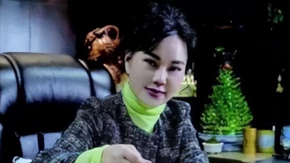 一顿饭花掉一百万完整版,一顿饭把百亿富婆骗到手