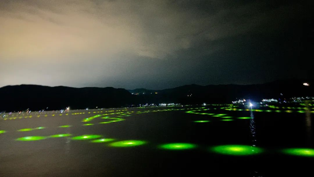 七夕|程海是夜晚的梦