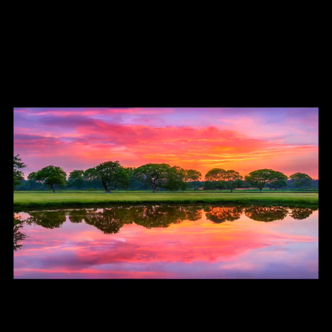 诡道传人简介,诡道传人免费阅读