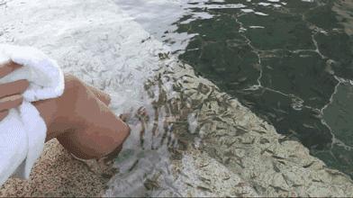 冲野浪、喝咖啡，比三亚便宜一半的海岛度假地，后悔没有早点知道