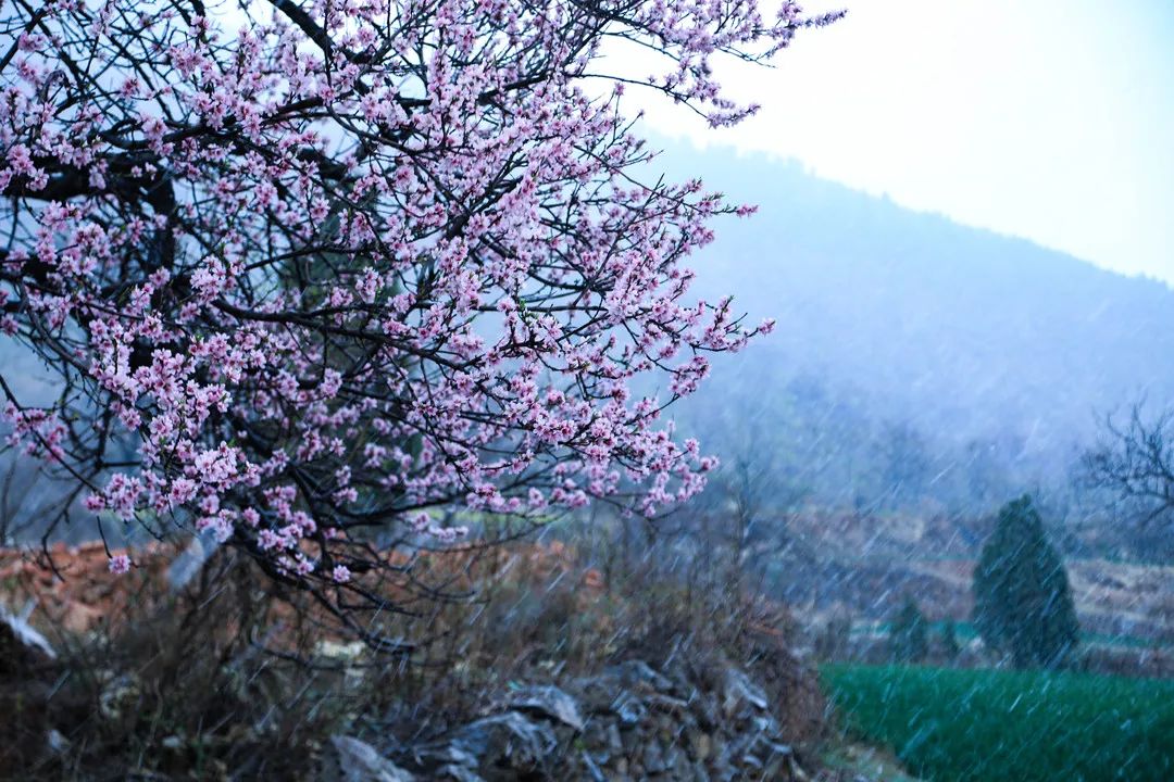 新密助泉寺玉雕,新密玉雕大师