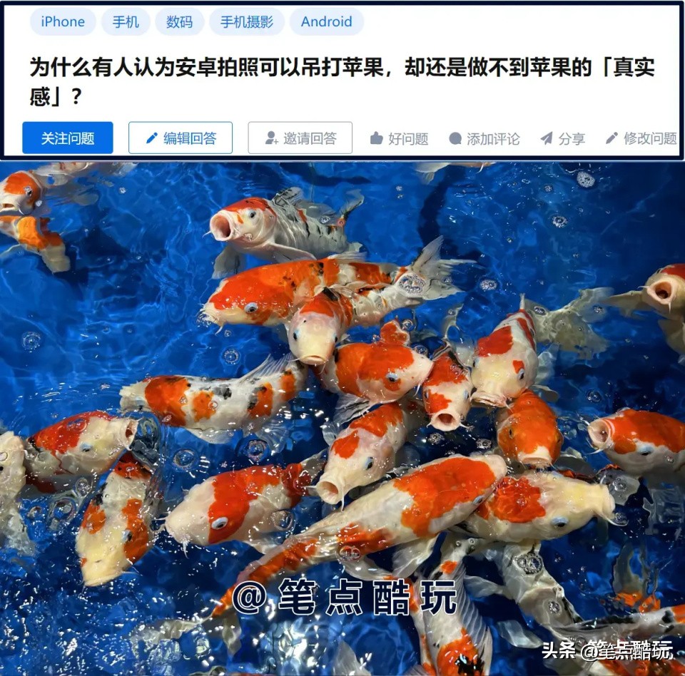 为什么苹果手机比安卓手机拍照好,安卓拍照出来为什么不如苹果真实