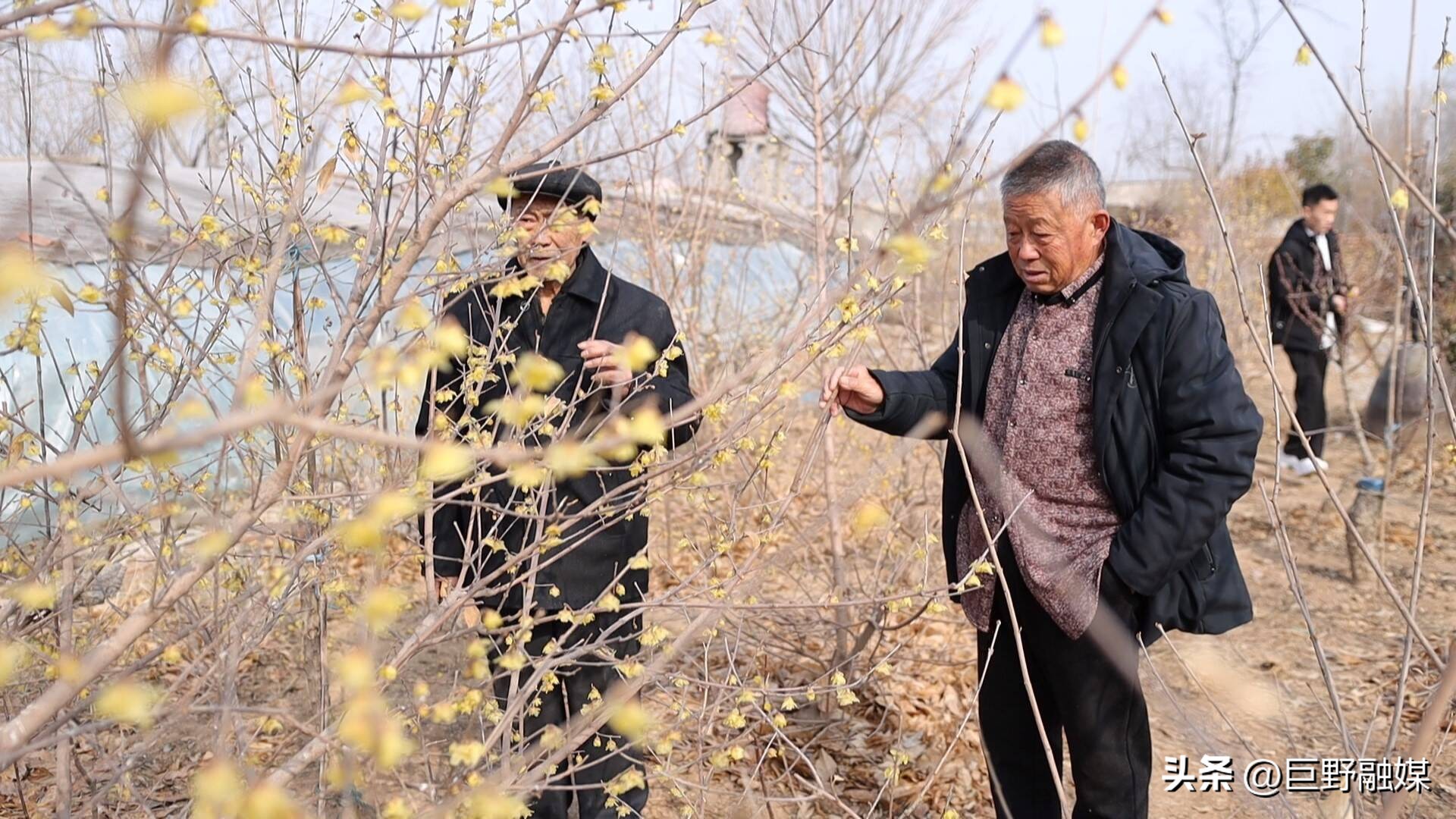 巨野院子设计,巨野院子改造