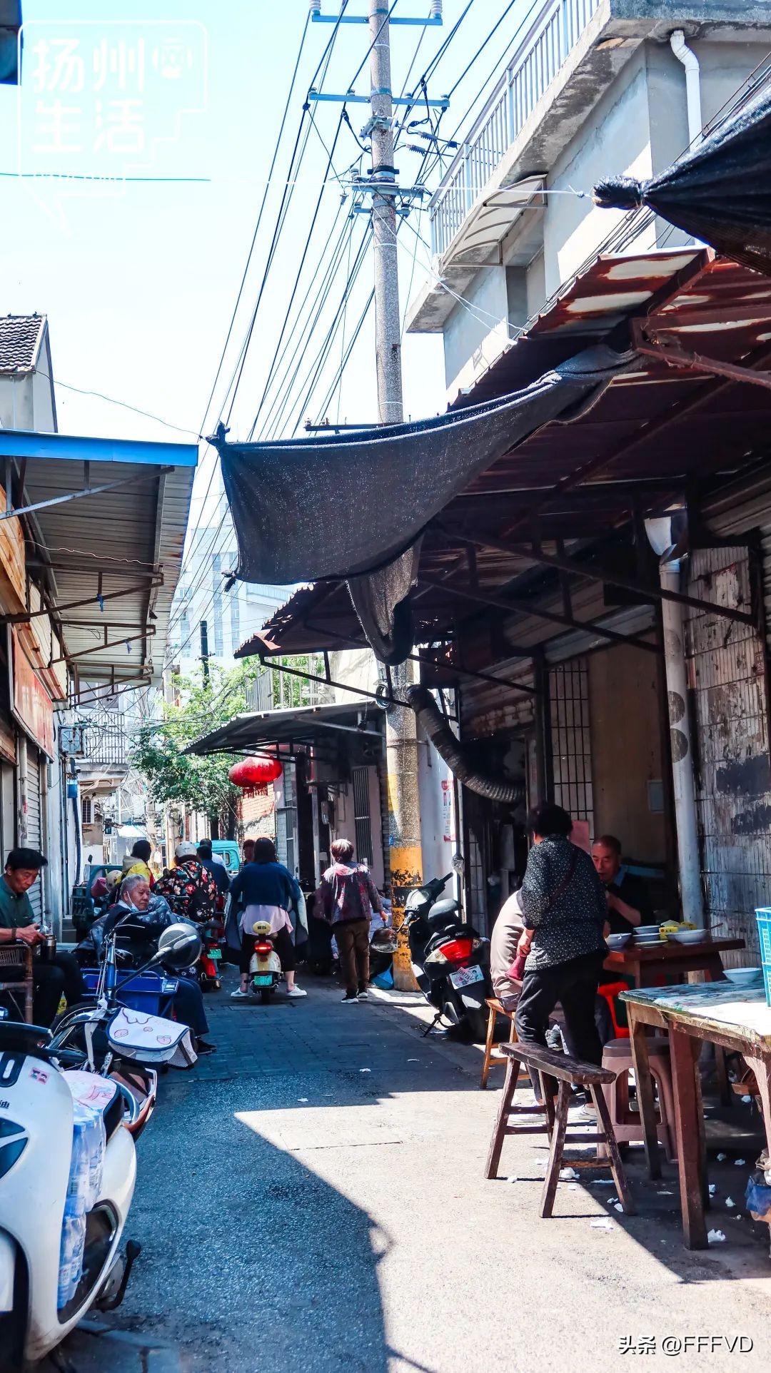 逛扬州菜市场,扬州最有烟火气息的菜场