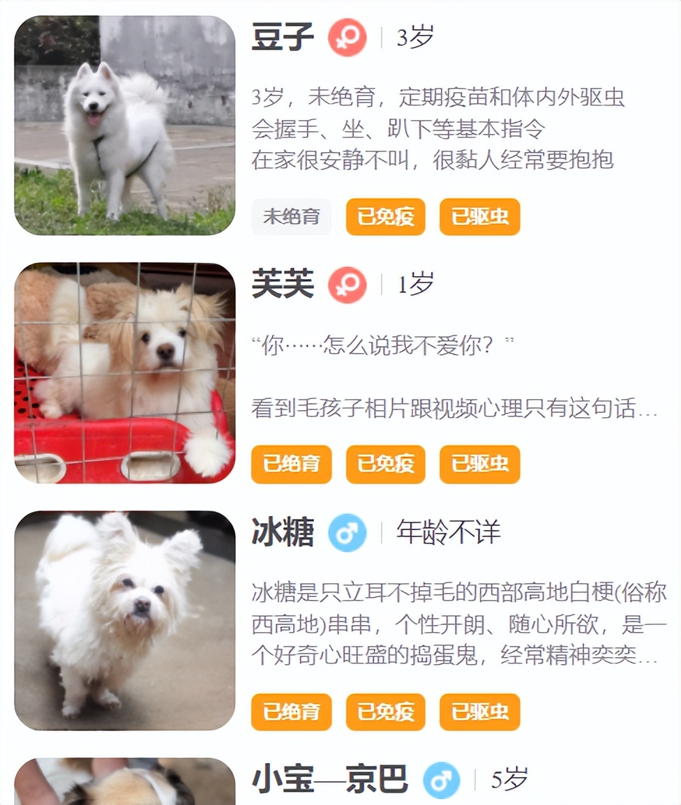 气死！拼夕夕150元买德牧，到手一看，山东德州牧鸡犬？？