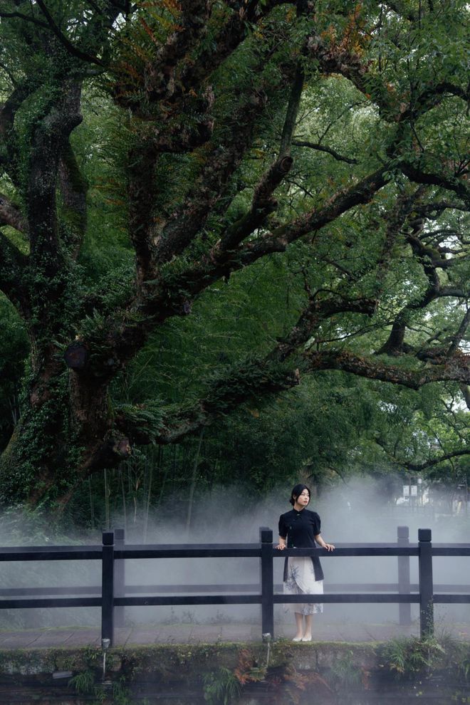 准考证直接当“钱”花！丽水古堰画乡毕业季又省又好玩的神级攻略