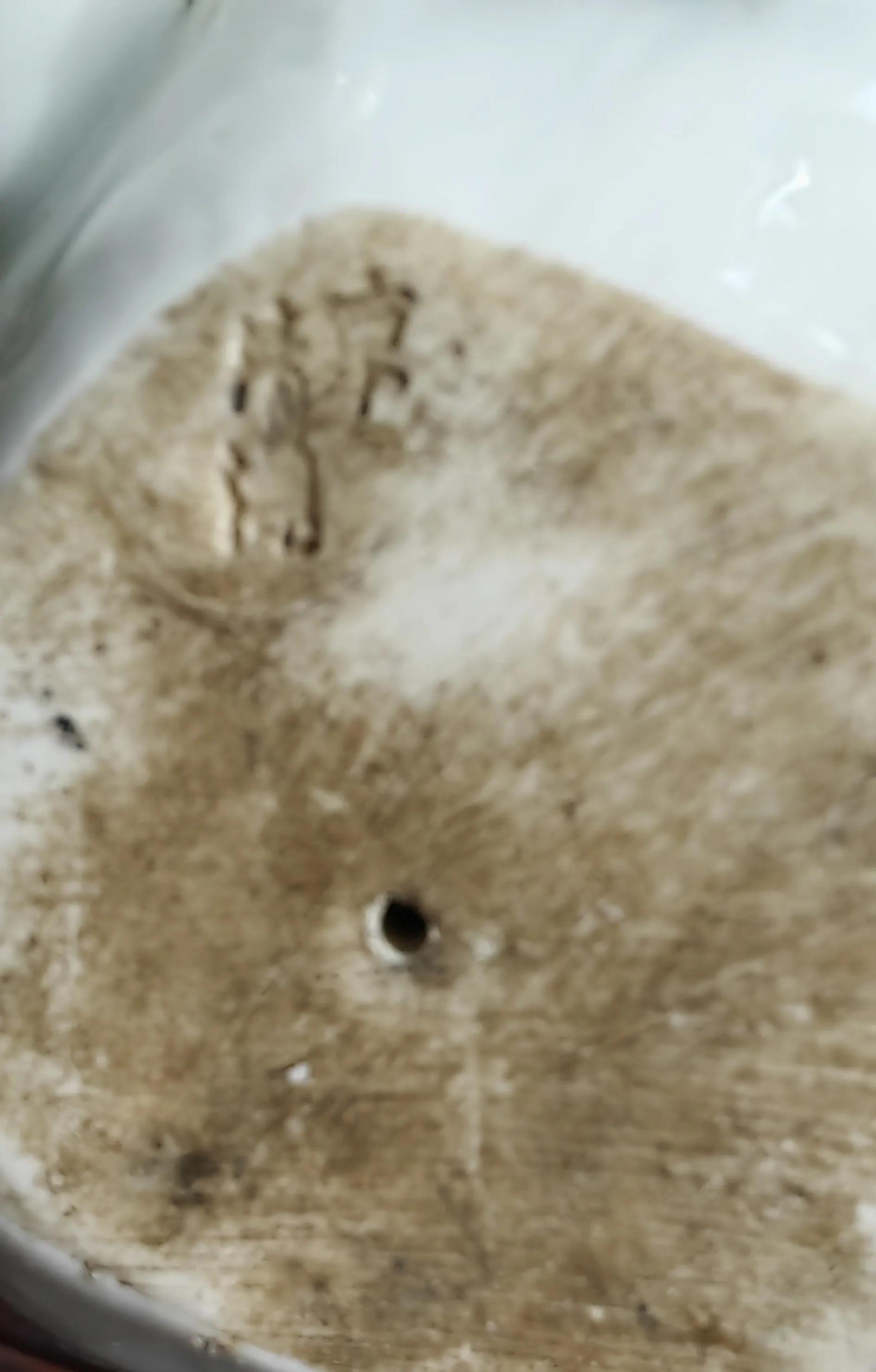 我那地主资本家姥爷“家道中兴”的秘密