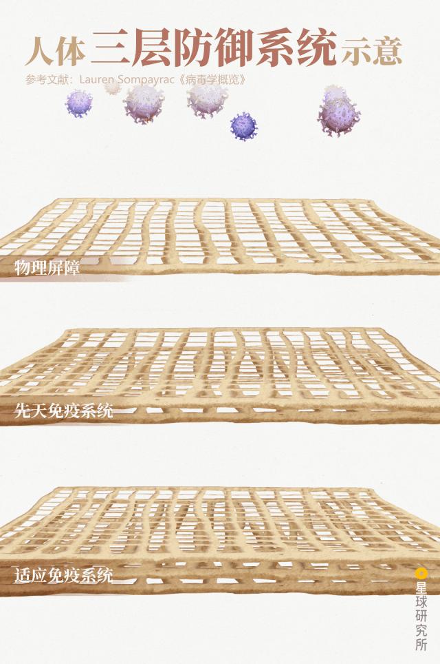 致与病毒搏斗的你！