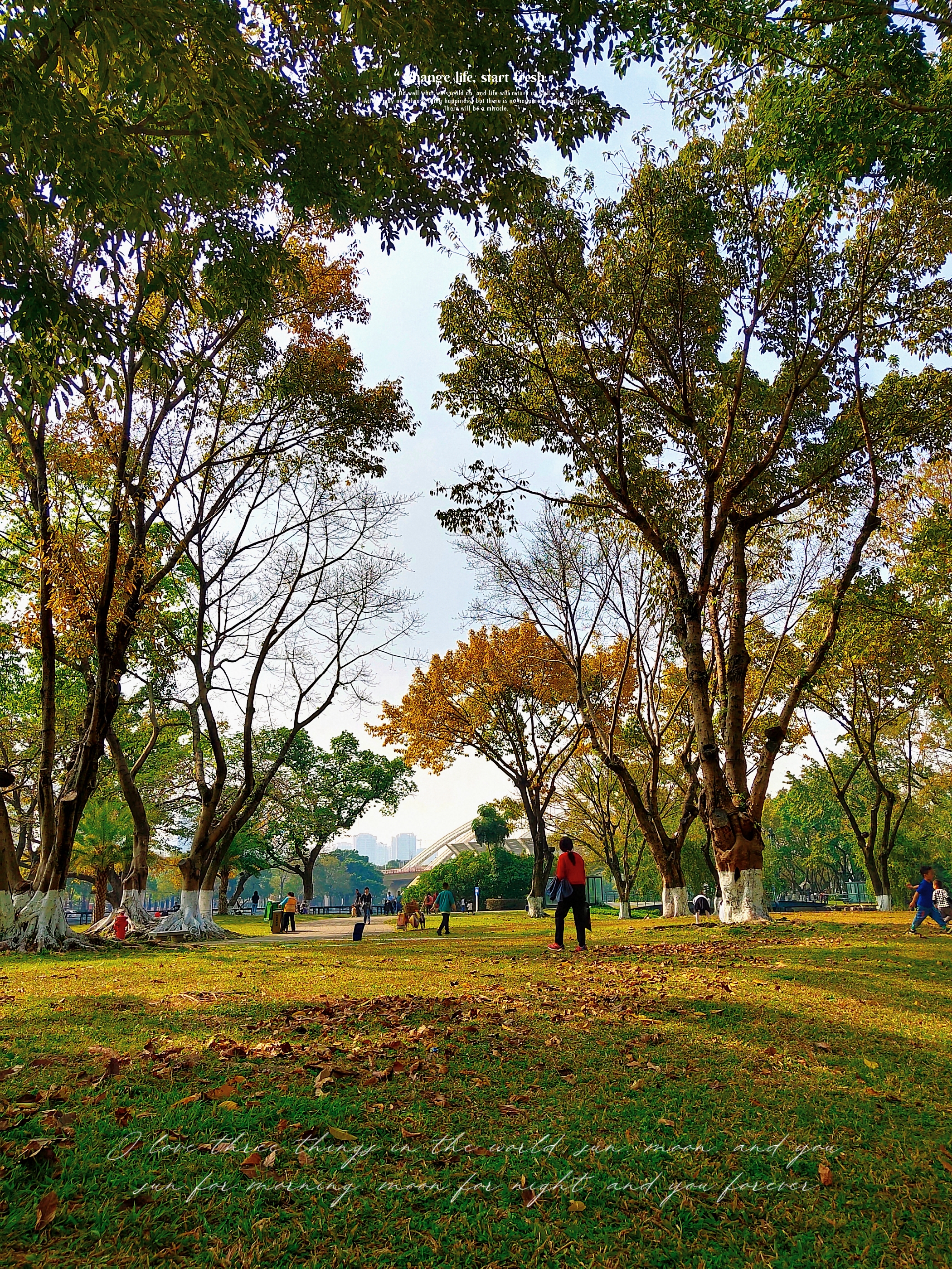 中山2天1夜旅游攻略,中山两日游感受