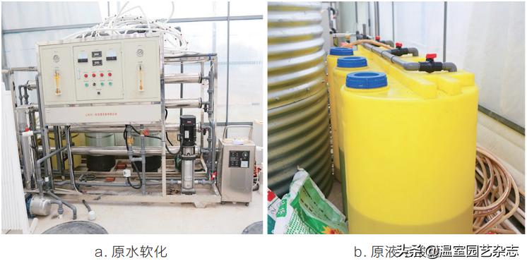 关注｜可升降的观光型草莓吊架，你见过吗？