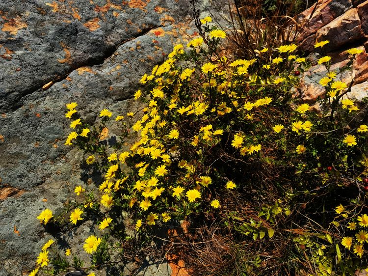 旅顺城山,旅顺城山怎么绕过去