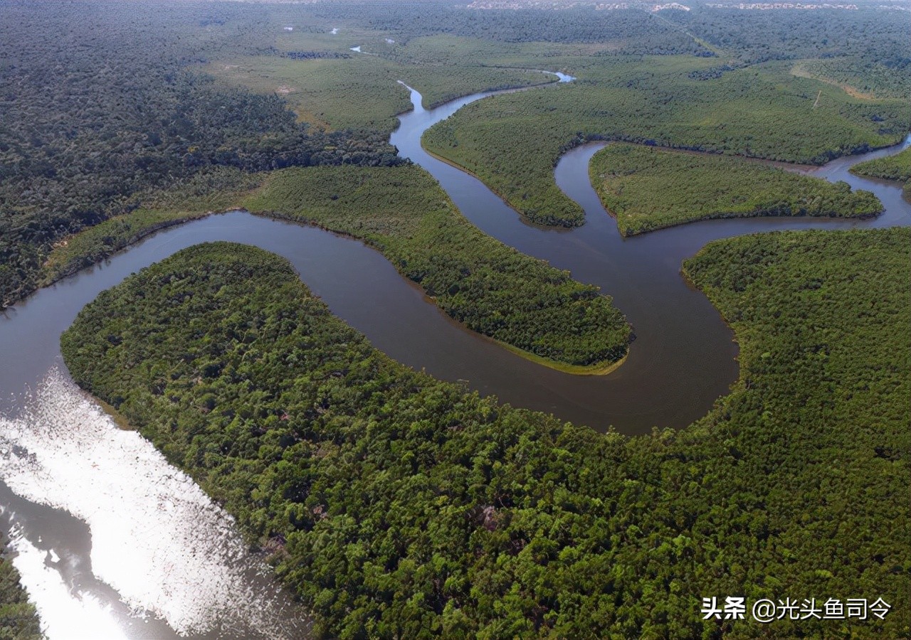 亚马逊河为什么被称为人类禁区,亚马逊河到底有多可怕