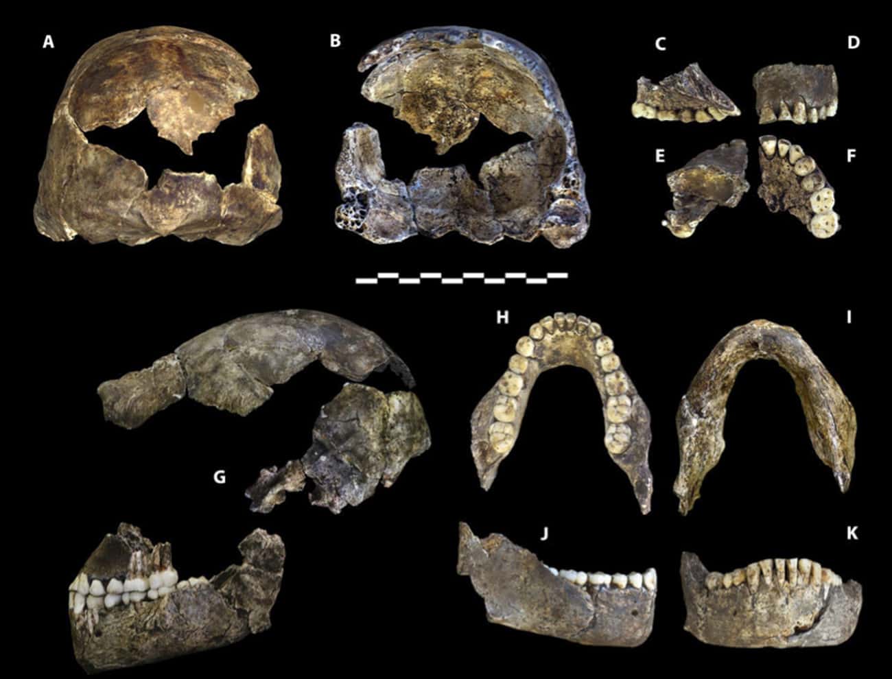 改写中国历史的考古重大发现排名,颠覆认知揭考古史上九大震惊发现