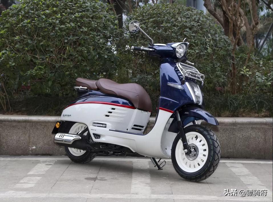 山中无老虎猴子称霸王对应的句子,山中无老虎猴子称霸王相关语句