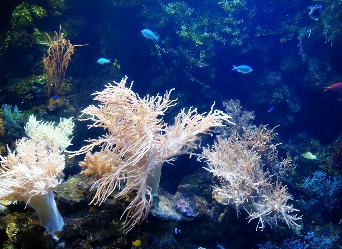 大连旅游攻略住宿推荐,大连旅游攻略三天游哪个岛好