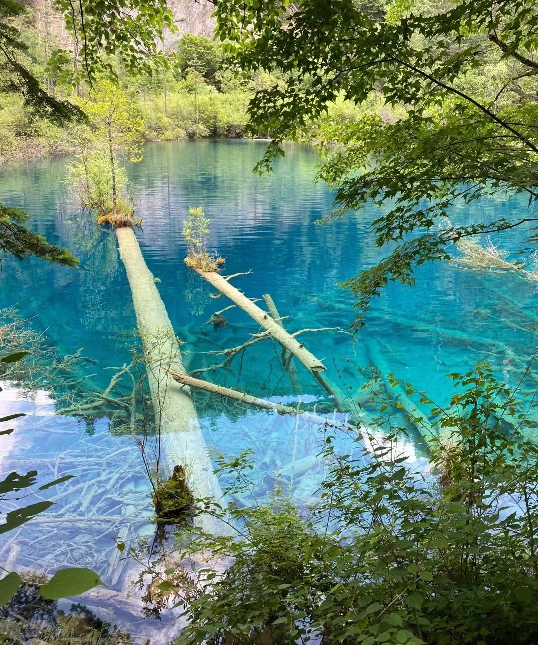 四川旅游攻略最值得推荐的景点,四川风景区旅游景点排行榜前十名