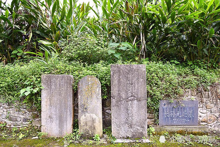 游玩武隆天生三桥和芙蓉洞住哪里,武隆仙女山天生三桥游