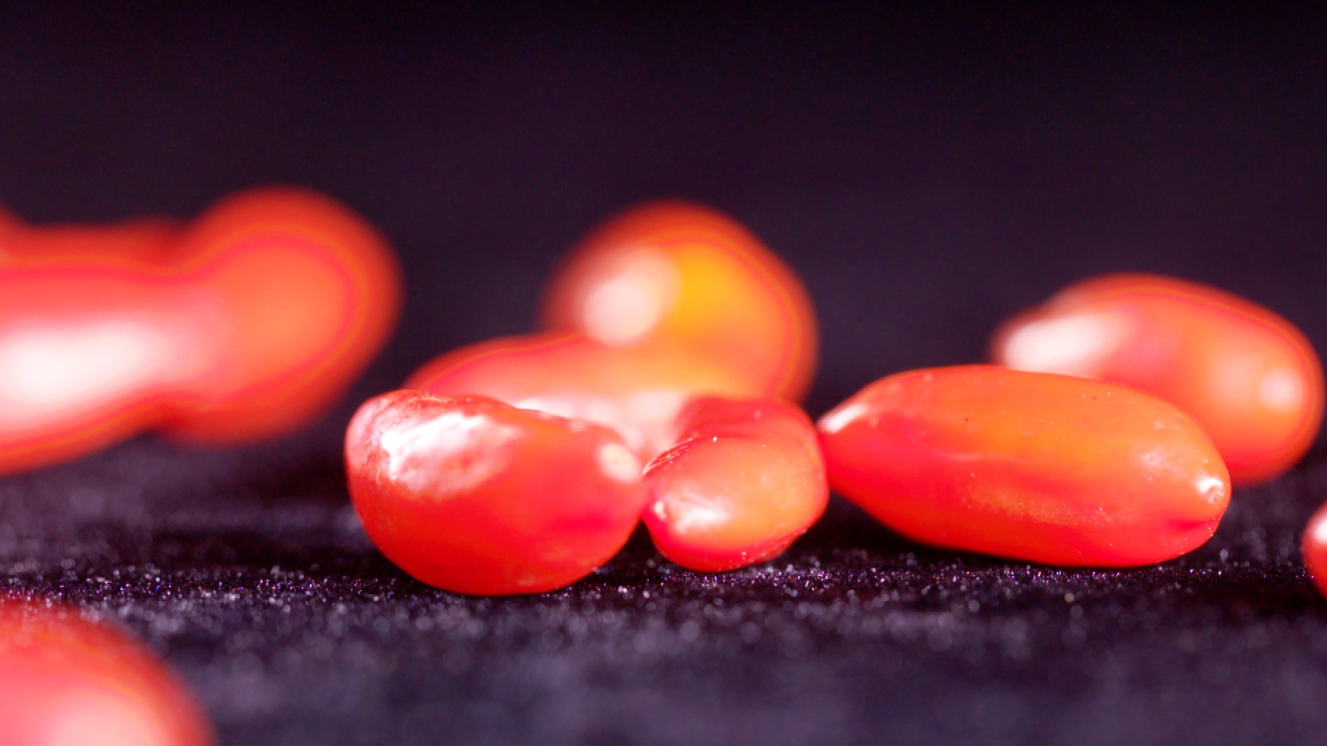 青海诺木洪枸杞今年什么时候摘,青海诺木洪枸杞采摘