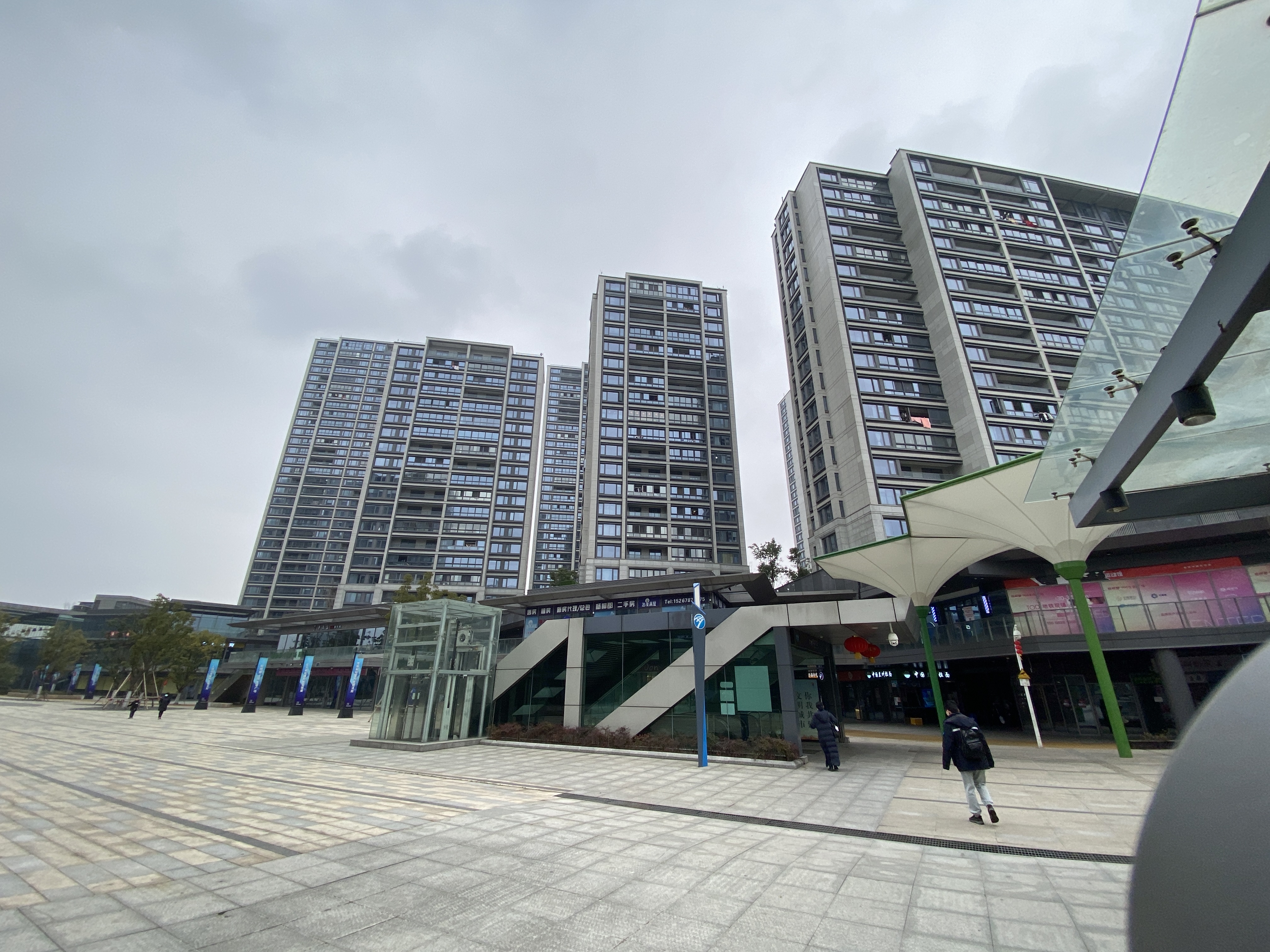 宁波地铁邱隘东站上的好兄弟，郡杨路和郡柳路，聊聊杨柳的故事