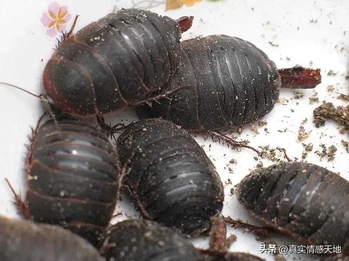 致富创业真实经历,80后五千元创业致富经