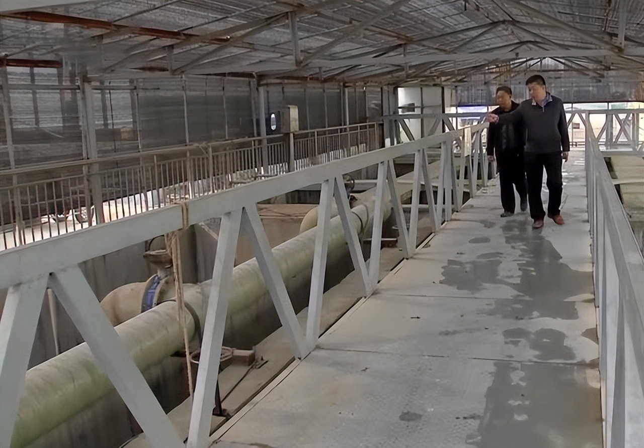 重庆小伙带领全村种生姜创业视频,农民返乡创业种生姜收益可观