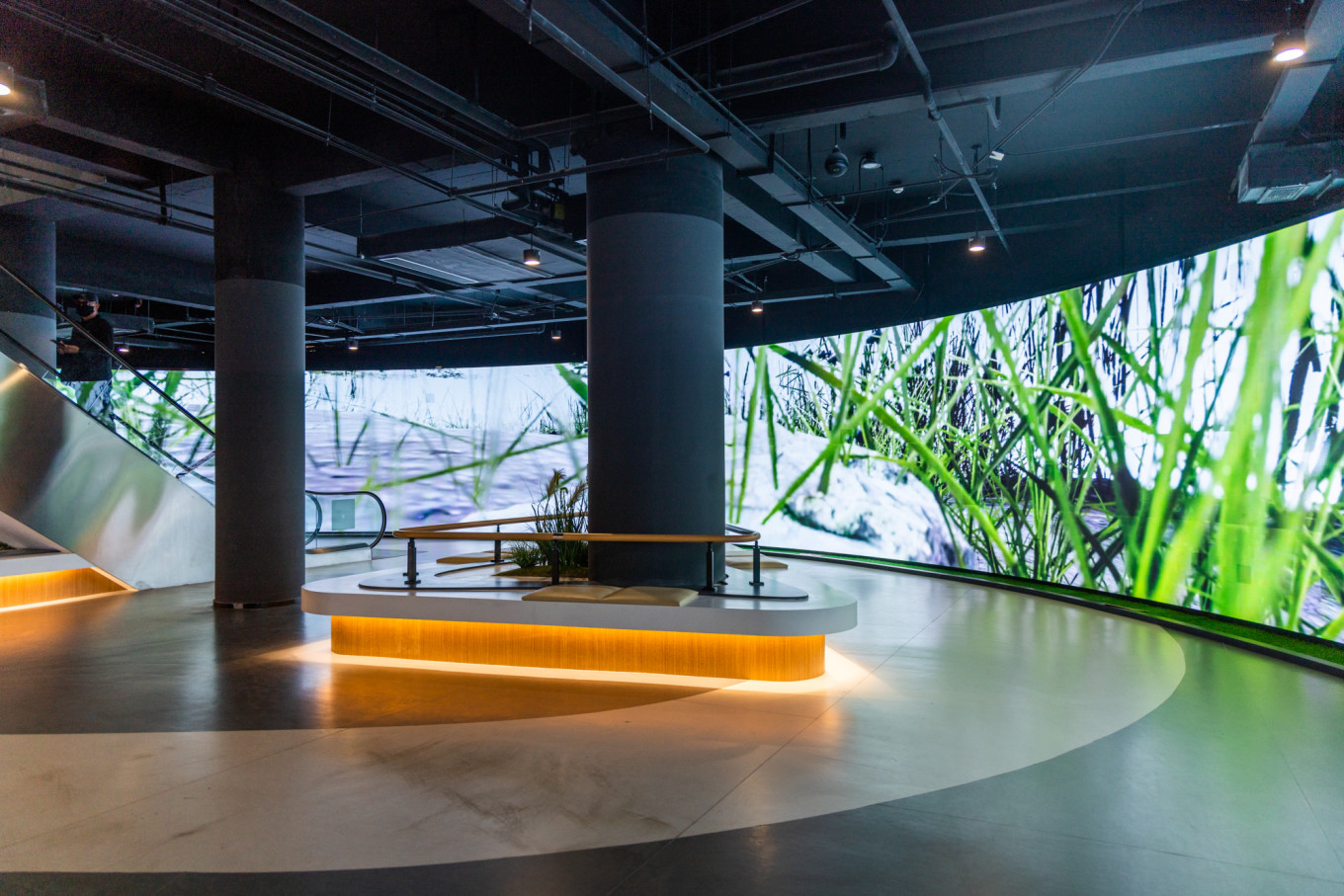 春日下江南杭州,泰州一日游攻略美食