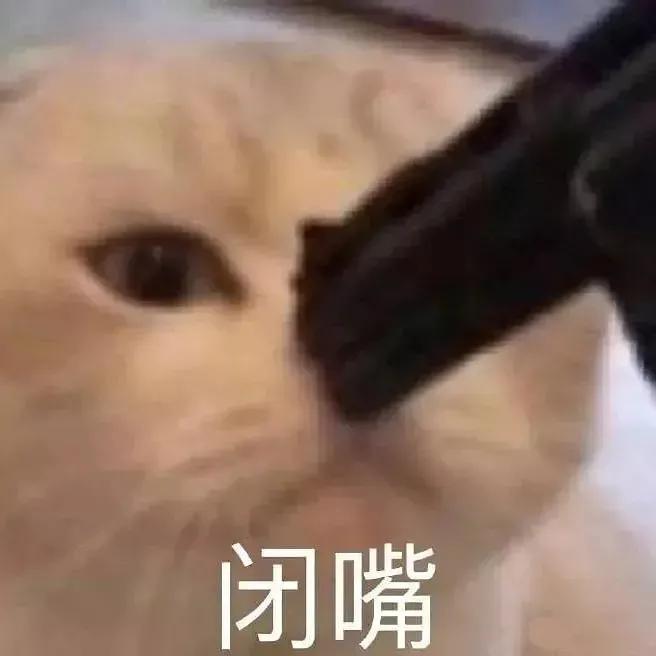 如何应对绿茶舍友骂我一句就走