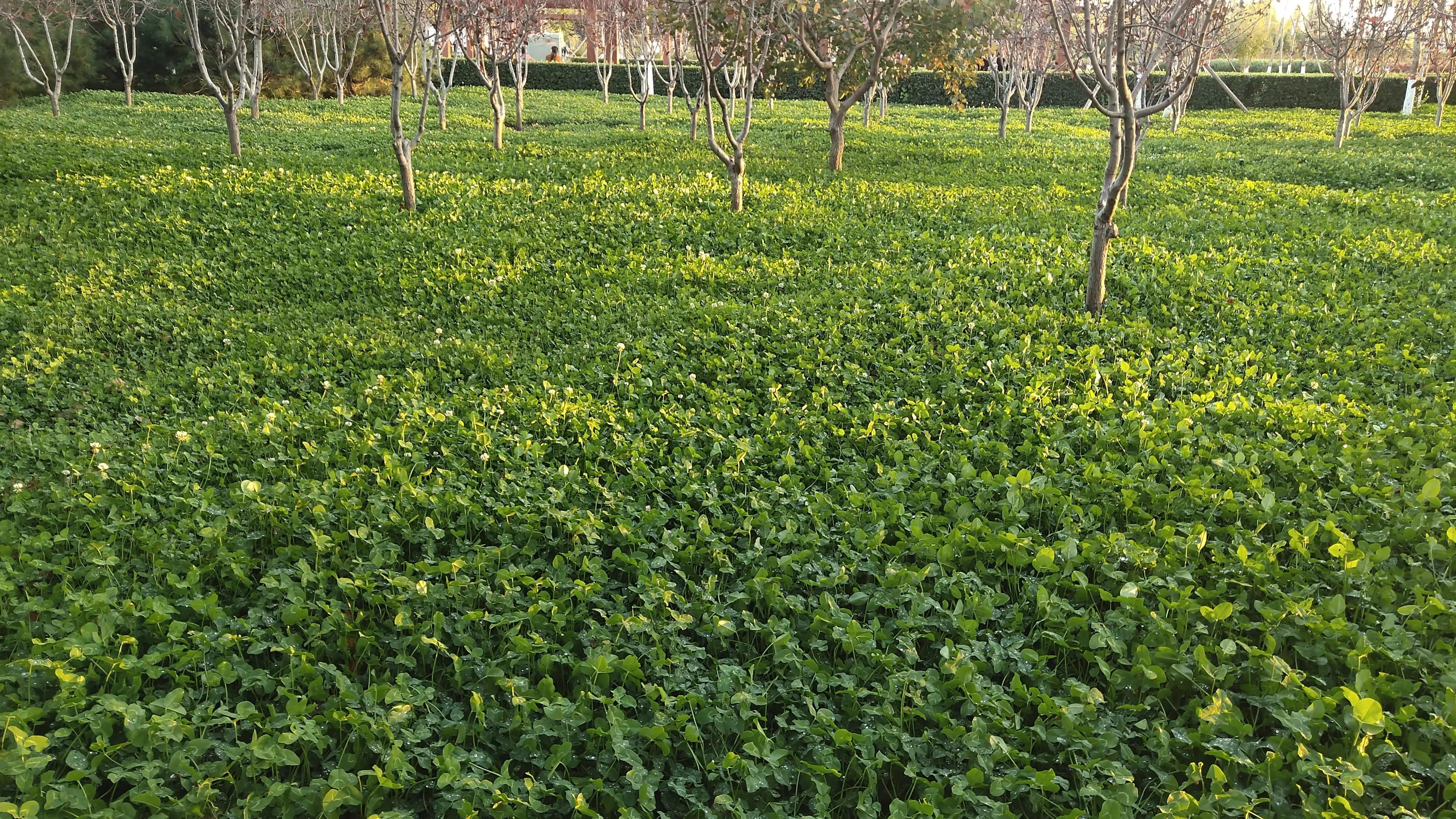 有空去看看风景感受大自然,有空逛逛植物园正是赏花好季节