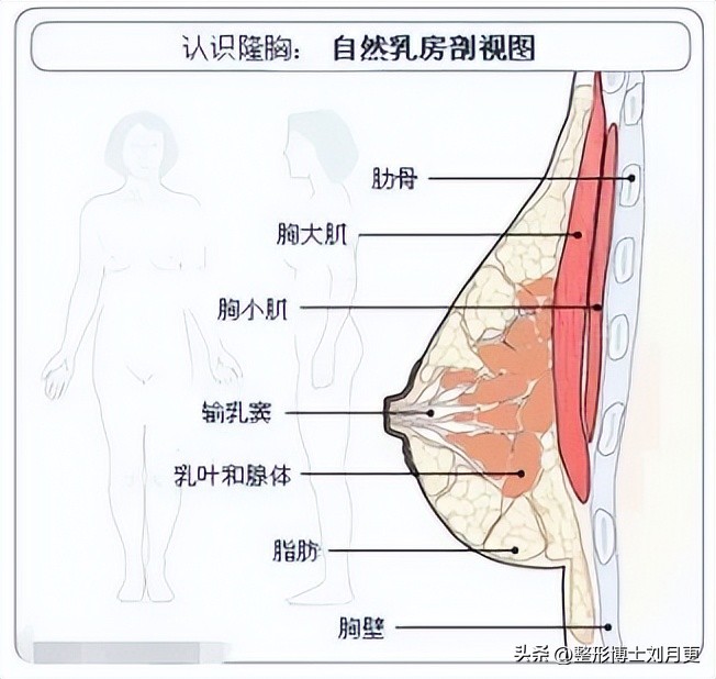 乳房缺陷怎样修复安全,乳房修复手术多少钱