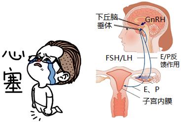 怕她不来又怕她乱来的文案,怕她不来又怕她乱来出处