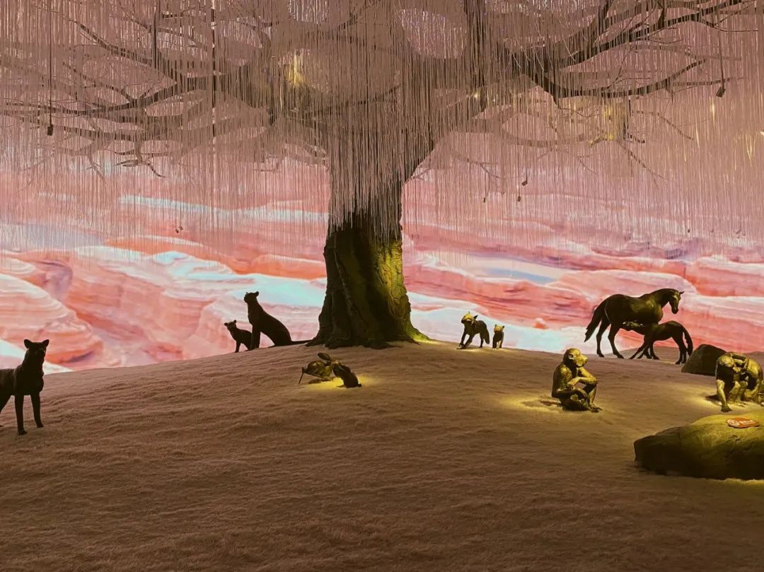 南京最大舍利塔,南京一座低调的古寺