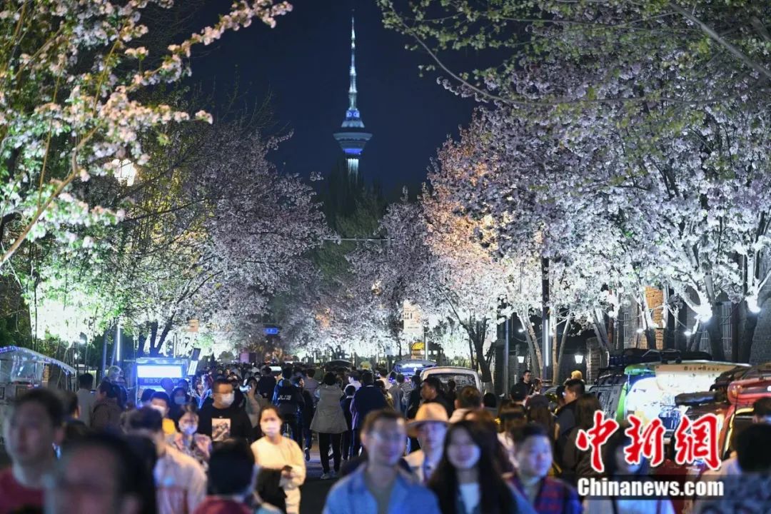 一定要和爱的人去一趟天津,这辈子总要去一次天津